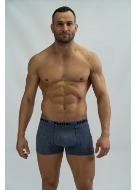 Трусы муж. Primal арт.MIXBOXER
