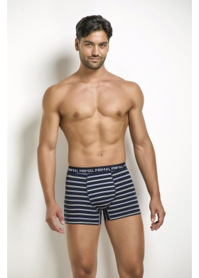 Трусы муж Primal арт B338
