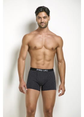 Трусы муж Primal арт B339