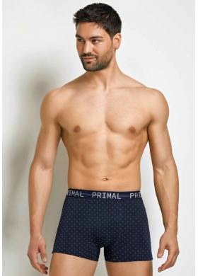 Трусы муж Primal арт B350