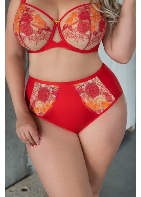 SWEETHEART Briefshighwaist Трусы высокие