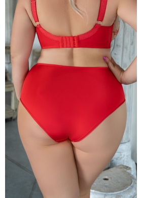 SWEETHEART Briefshighwaist Трусы высокие